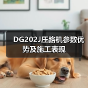 DG202J压路机参数优势及施工表现（图3）