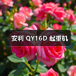 安利 QY16D 起重机（图1）