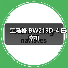 宝马格 BW219D-4 压路机（图4）