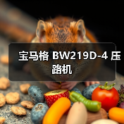 宝马格 BW219D-4 压路机（图1）