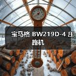 宝马格 BW219D-4 压路机（图3）