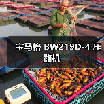 宝马格 BW219D-4 压路机（图2）