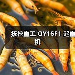 抚挖重工 QY16F1 起重机（图3）