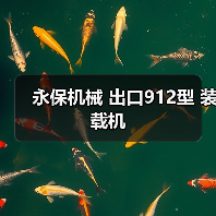 永保机械 出口912型 装载机（图3）