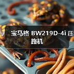 宝马格 BW219D-4i 压路机（图1）