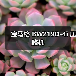 宝马格 BW219D-4i 压路机（图2）