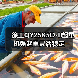 徐工QY25K5D-II起重机强起重灵活稳定（图1）