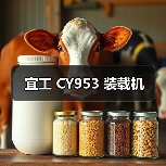 宜工 CY953 装载机（图4）