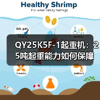 QY25K5F-1起重机：25吨起重能力如何保障高效作业（图2）