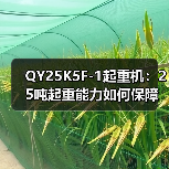 QY25K5F-1起重机：25吨起重能力如何保障高效作业（图3）
