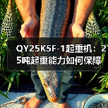 QY25K5F-1起重机：25吨起重能力如何保障高效作业（图4）