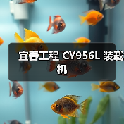宜春工程 CY956L 装载机（图2）
