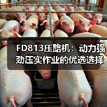 FD813压路机：动力强劲压实作业的优选选择（图1）