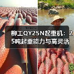 柳工QY25N起重机:25吨起重能力与高灵活操作解析(图1) 柳工QY25N起重机:25吨起重能力与高灵活操作解析(图1)