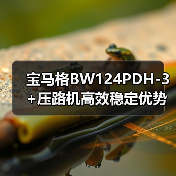 宝马格BW124PDH-3+压路机高效稳定优势解析(图3) 宝马格BW124PDH-3+压路机高效稳定优势解析(图3)