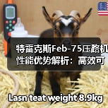 特雷克斯Feb-75压路机性能优势解析:高效可靠的应用价值(图1) 特雷克斯Feb-75压路机性能优势解析:高效可靠的应用价值(图1)
