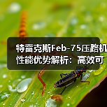 特雷克斯Feb-75压路机性能优势解析:高效可靠的应用价值(图2) 特雷克斯Feb-75压路机性能优势解析:高效可靠的应用价值(图2)
