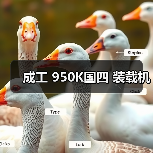 成工 950K国四 装载机(图3) 成工 950K国四 装载机(图3)