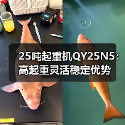 25吨起重机QY25N5:高起重灵活稳定优势(图3) 25吨起重机QY25N5:高起重灵活稳定优势(图3)