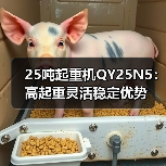 25吨起重机QY25N5:高起重灵活稳定优势(图4) 25吨起重机QY25N5:高起重灵活稳定优势(图4)