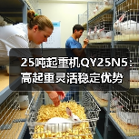 25吨起重机QY25N5:高起重灵活稳定优势(图1) 25吨起重机QY25N5:高起重灵活稳定优势(图1)