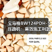 宝马格BW124PDH-5压路机:高效施工利器,为何成为工地首选?(图1) 宝马格BW124PDH-5压路机:高效施工利器,为何成为工地首选?(图1)