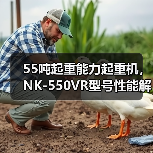 55吨起重能力起重机，NK-550VR型号性能解析（图2）