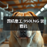 国机重工 950LNG 装载机(图1) 国机重工 950LNG 装载机(图1)