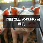 国机重工 950LNG 装载机(图4) 国机重工 950LNG 装载机(图4)