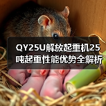 QY25U解放起重机25吨起重性能优势全解析(图4) QY25U解放起重机25吨起重性能优势全解析(图4)