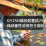 QY25U解放起重机25吨起重性能优势全解析(图3) QY25U解放起重机25吨起重性能优势全解析(图3)