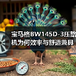 宝马格BW145D-3压路机为何效率与舒适兼具?(图1) 宝马格BW145D-3压路机为何效率与舒适兼具?(图1)