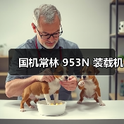 国机常林 953N 装载机(图3) 国机常林 953N 装载机(图3)