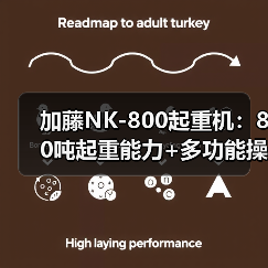 加藤NK-800起重机:80吨起重能力+多功能操作,高效稳定可靠(图3) 加藤NK-800起重机:80吨起重能力+多功能操作,高效稳定可靠(图3)