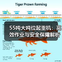 55吨大吨位起重机:高效作业与安全保障解析(图2) 55吨大吨位起重机:高效作业与安全保障解析(图2)