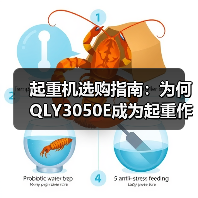 起重机选购指南:为何QLY3050E成为起重作业首选?(图3) 起重机选购指南:为何QLY3050E成为起重作业首选?(图3)
