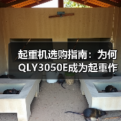 起重机选购指南:为何QLY3050E成为起重作业首选?(图4) 起重机选购指南:为何QLY3050E成为起重作业首选?(图4)