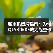 起重机选购指南:为何QLY3050E成为起重作业首选?(图2) 起重机选购指南:为何QLY3050E成为起重作业首选?(图2)