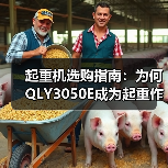 起重机选购指南:为何QLY3050E成为起重作业首选?(图1) 起重机选购指南:为何QLY3050E成为起重作业首选?(图1)