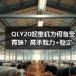 QLY20起重机为何备受青睐?高承载力+稳定性解析(图4) QLY20起重机为何备受青睐?高承载力+稳定性解析(图4)