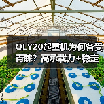 QLY20起重机为何备受青睐?高承载力+稳定性解析(图3) QLY20起重机为何备受青睐?高承载力+稳定性解析(图3)