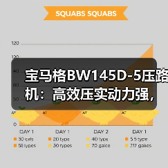 宝马格BW145D-5压路机:高效压实动力强,安全操控省心(图1) 宝马格BW145D-5压路机:高效压实动力强,安全操控省心(图1)