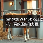 宝马格BW145D-5压路机:高效压实动力强,安全操控省心(图2) 宝马格BW145D-5压路机:高效压实动力强,安全操控省心(图2)