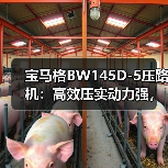 宝马格BW145D-5压路机:高效压实动力强,安全操控省心(图4) 宝马格BW145D-5压路机:高效压实动力强,安全操控省心(图4)