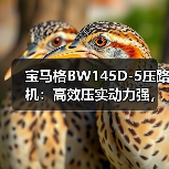 宝马格BW145D-5压路机:高效压实动力强,安全操控省心(图3) 宝马格BW145D-5压路机:高效压实动力强,安全操控省心(图3)