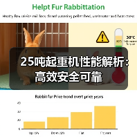 25吨起重机性能解析:高效安全可靠(图4) 25吨起重机性能解析:高效安全可靠(图4)
