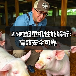 25吨起重机性能解析:高效安全可靠(图3) 25吨起重机性能解析:高效安全可靠(图3)