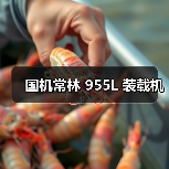 国机常林 955L 装载机(图1) 国机常林 955L 装载机(图1)