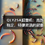 QLY25A起重机：高效稳定，轻便灵活的起重设备选择（图4）