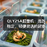 QLY25A起重机：高效稳定，轻便灵活的起重设备选择（图3）